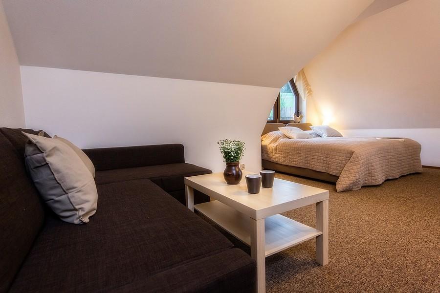 Willa Litworowka III Wellness&Spa ポロニン エクステリア 写真