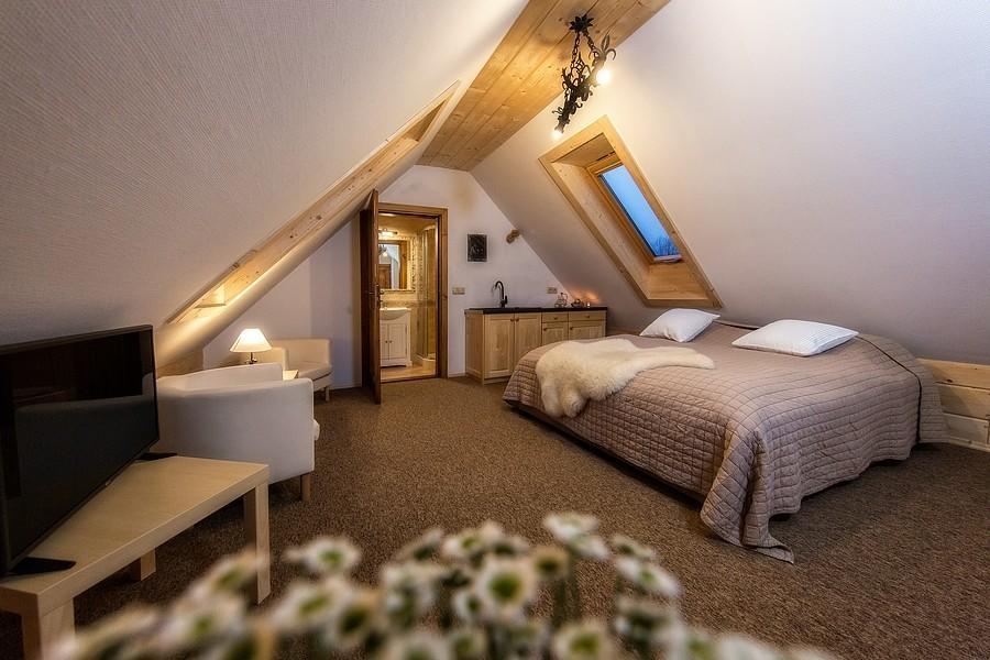 Willa Litworowka III Wellness&Spa ポロニン エクステリア 写真